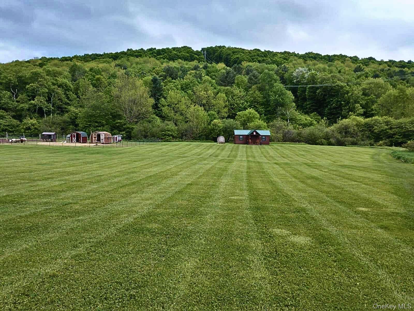 Single Family Houghtaling Hollow  Delaware County, NY 13757, MLS-901815-23