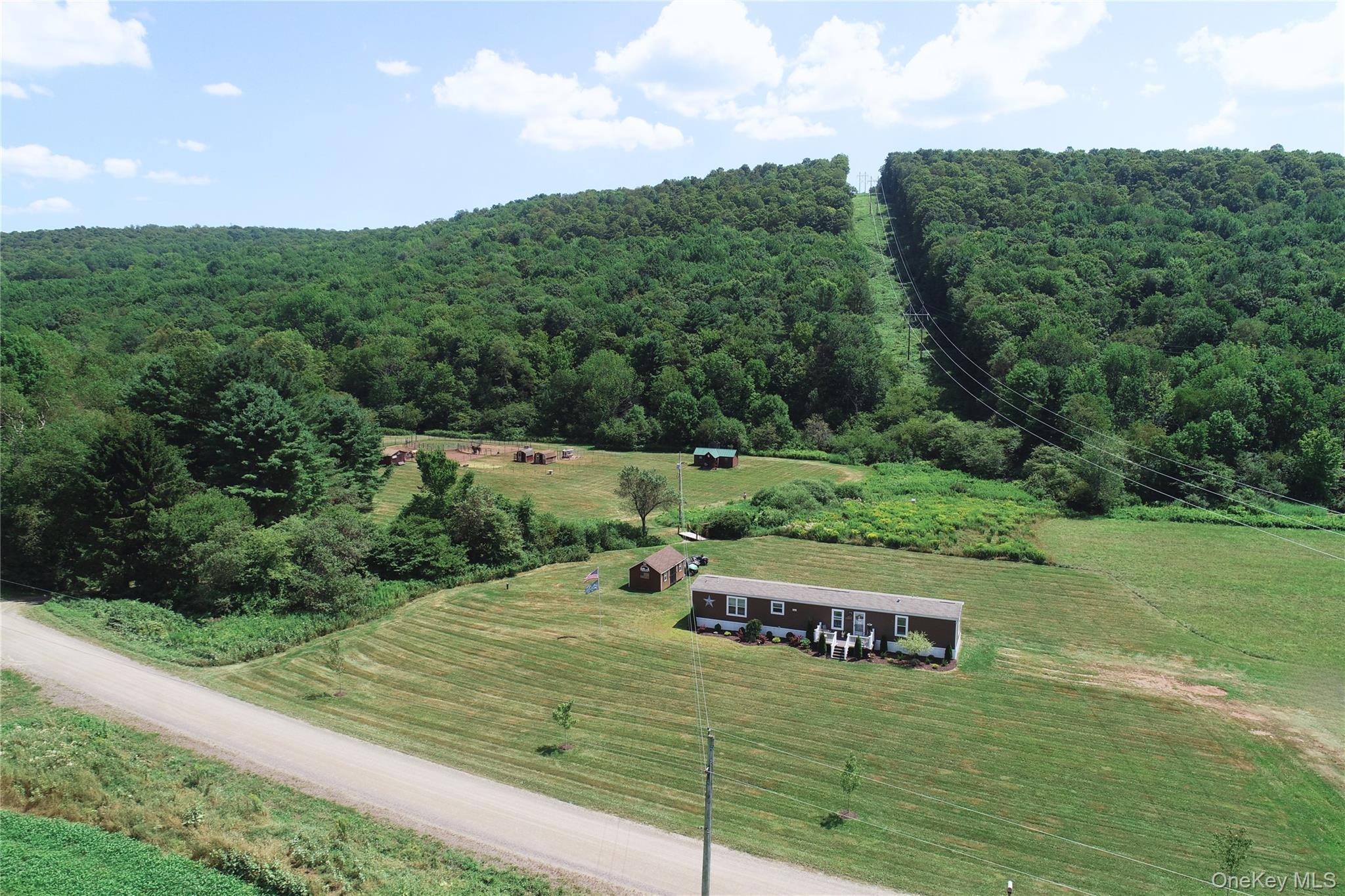 Single Family Houghtaling Hollow  Delaware County, NY 13757, MLS-901815-3