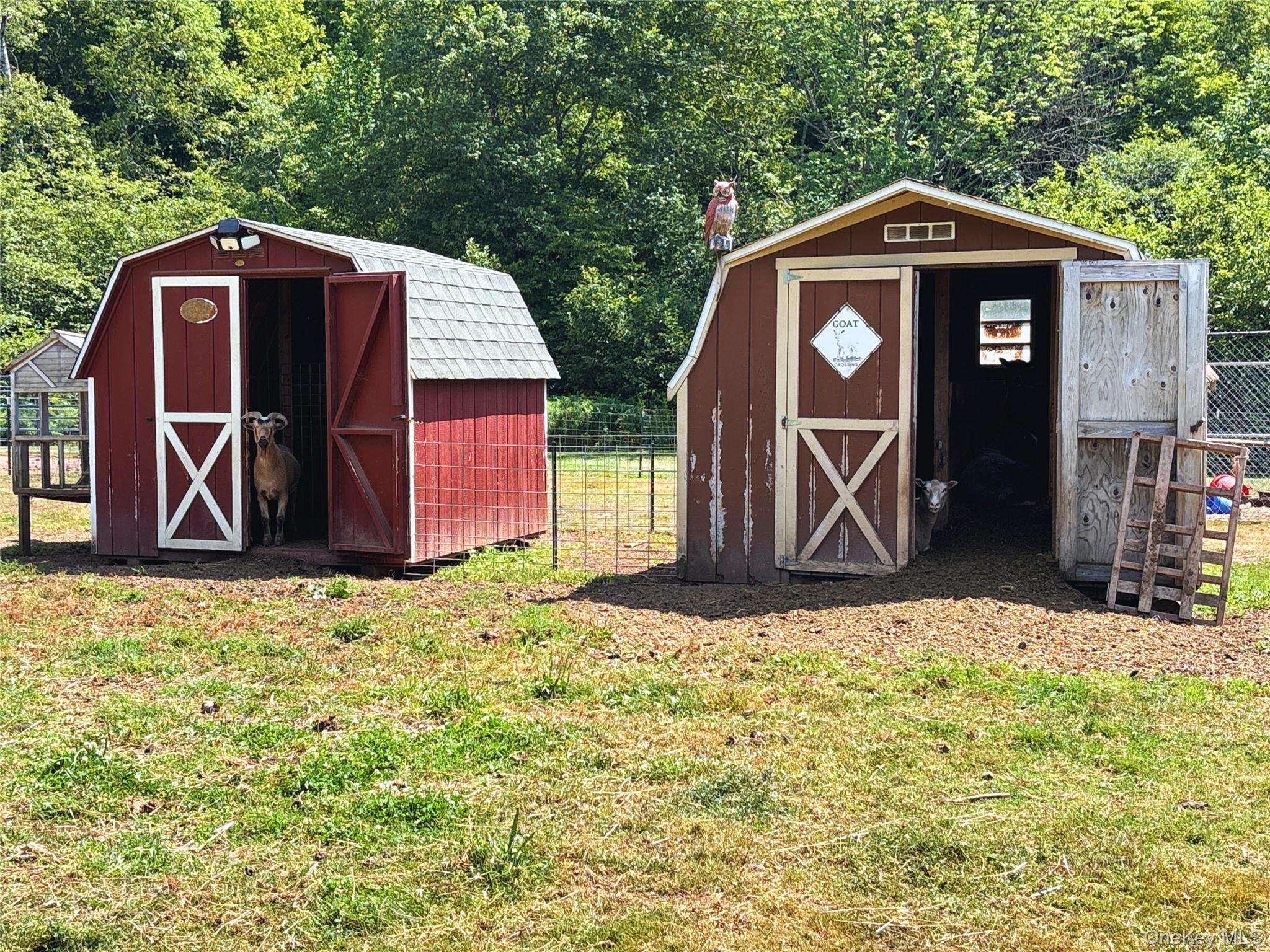 Single Family Houghtaling Hollow  Delaware County, NY 13757, MLS-901815-33