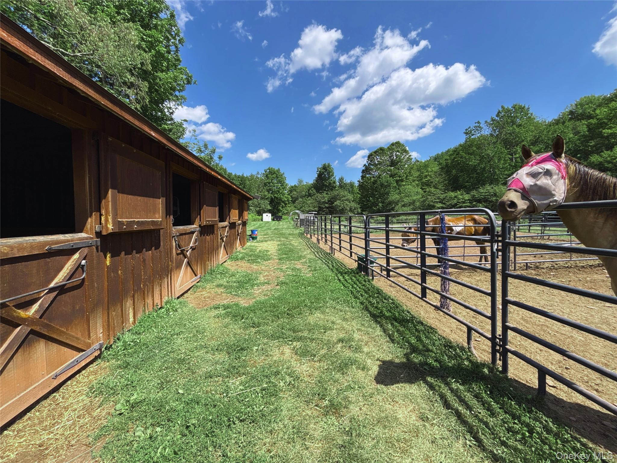 Single Family Houghtaling Hollow  Delaware County, NY 13757, MLS-901815-35