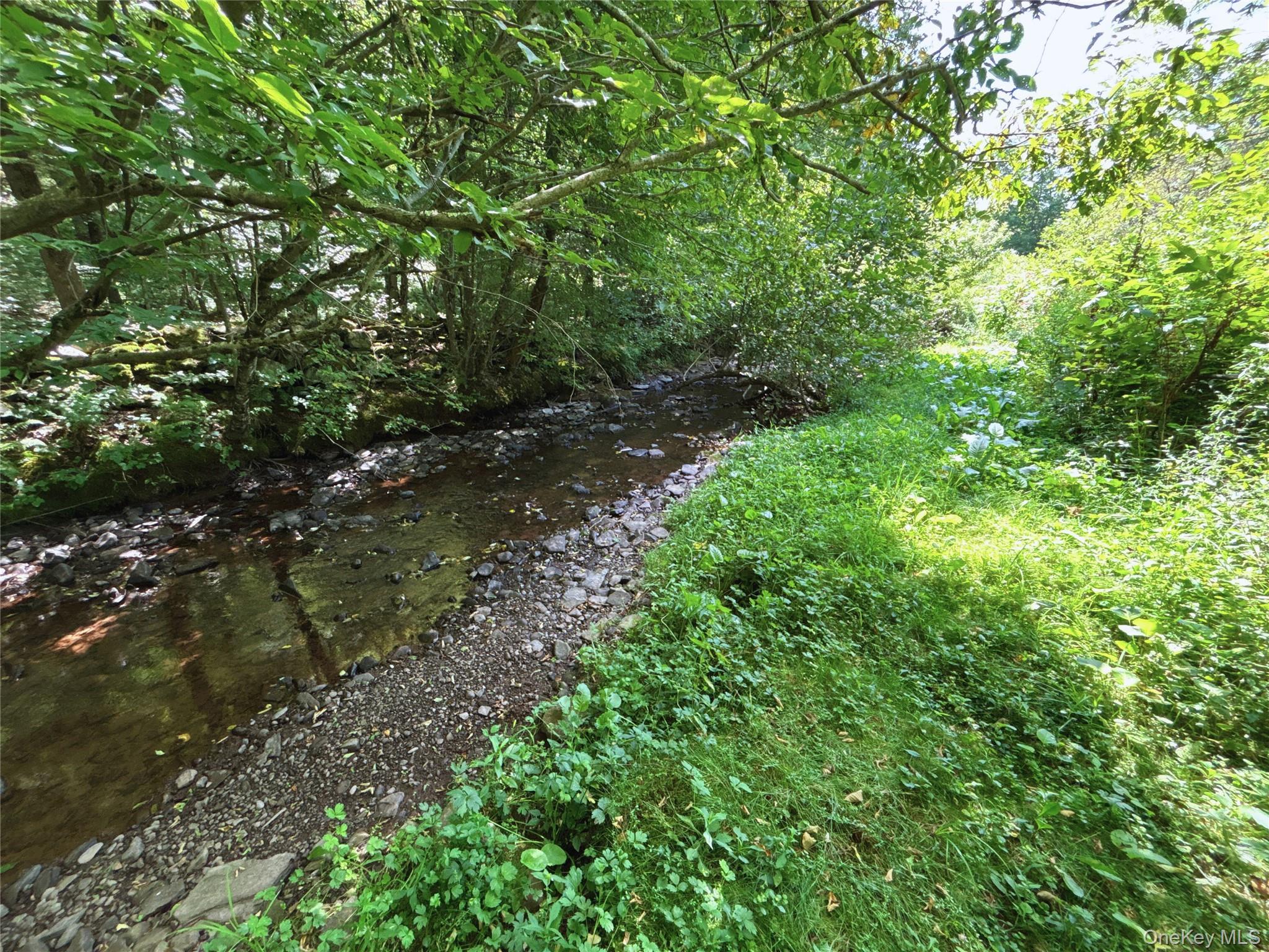 Single Family Houghtaling Hollow  Delaware County, NY 13757, MLS-901815-37