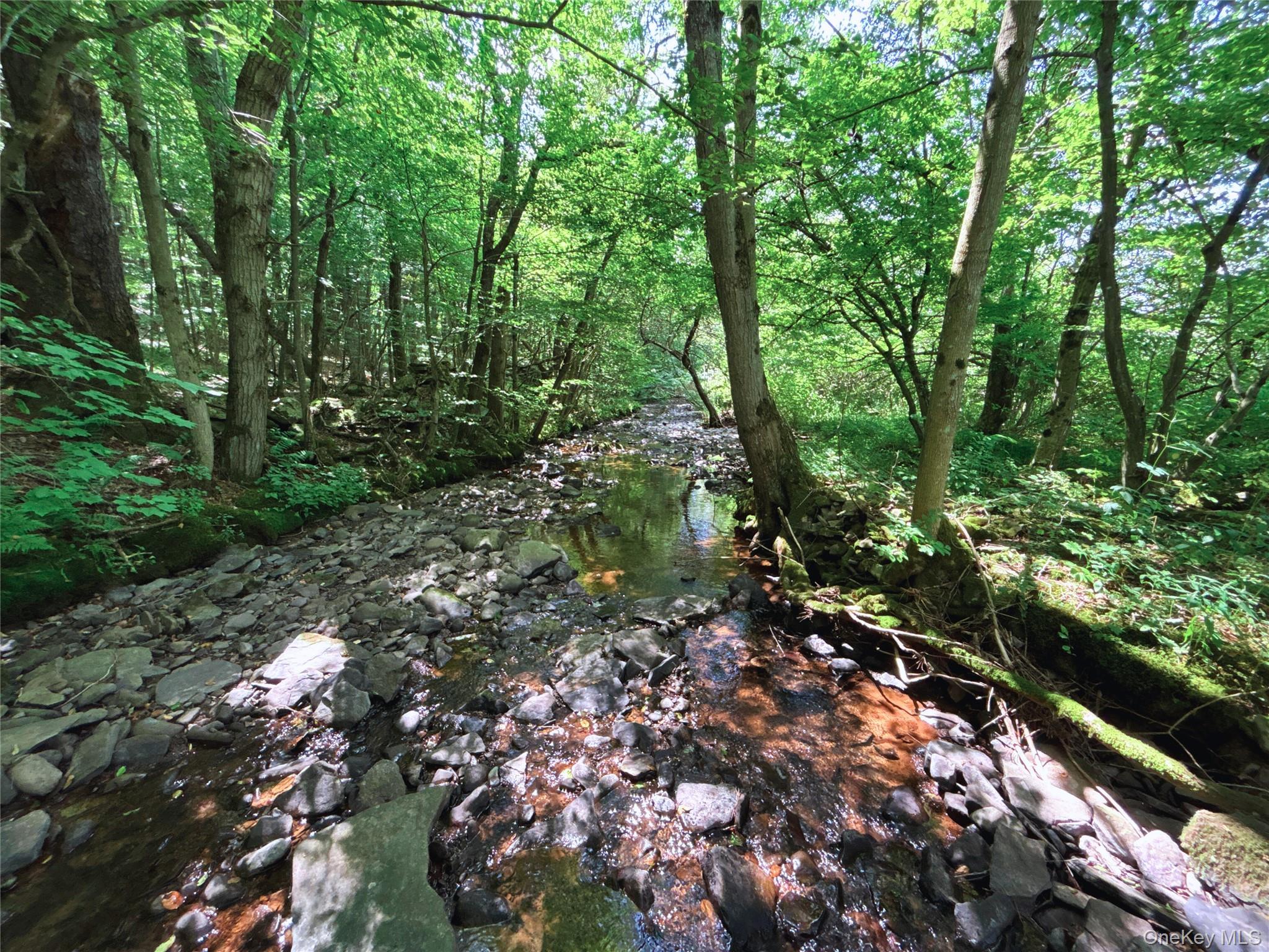 Single Family Houghtaling Hollow  Delaware County, NY 13757, MLS-901815-39