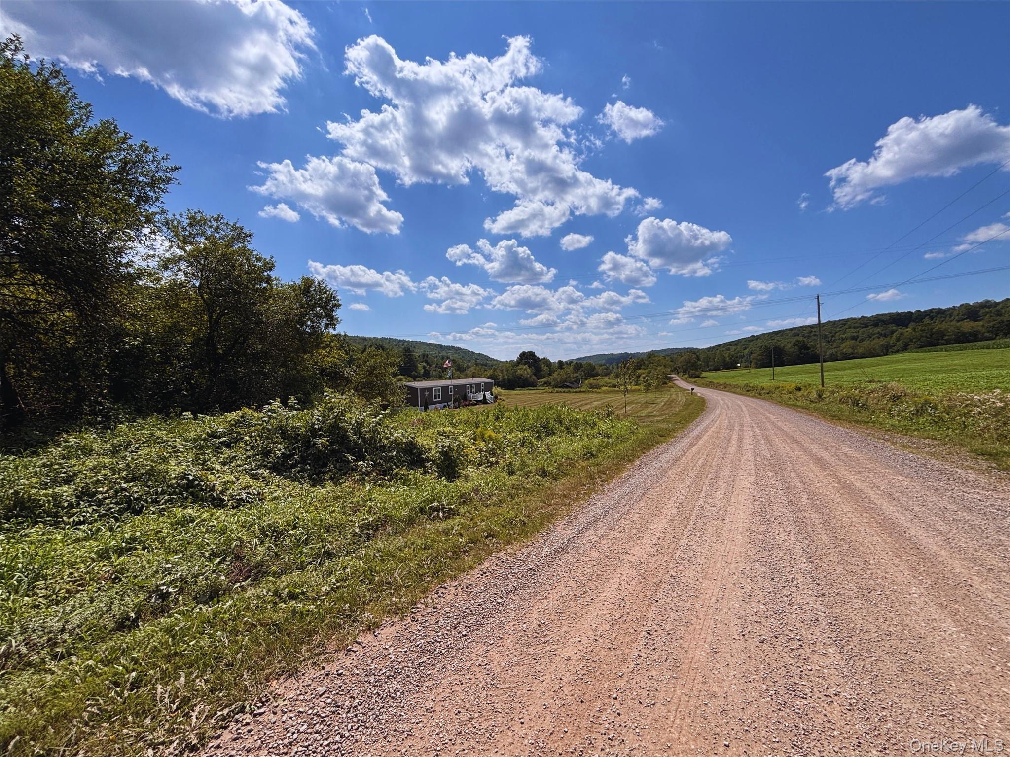 Single Family Houghtaling Hollow  Delaware County, NY 13757, MLS-901815-42