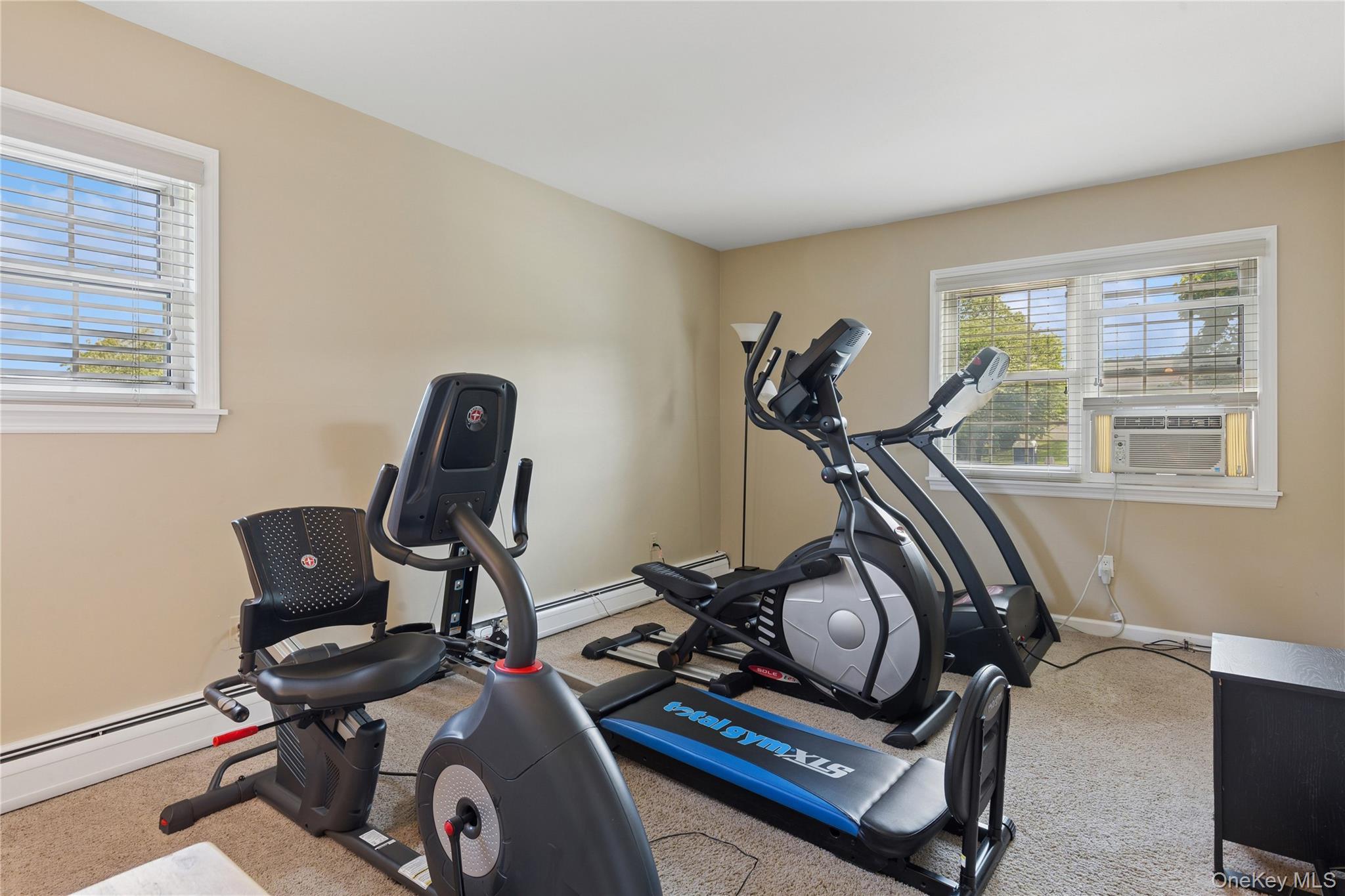 Single Family Mark  Suffolk County, NY 11738, MLS-901887-13