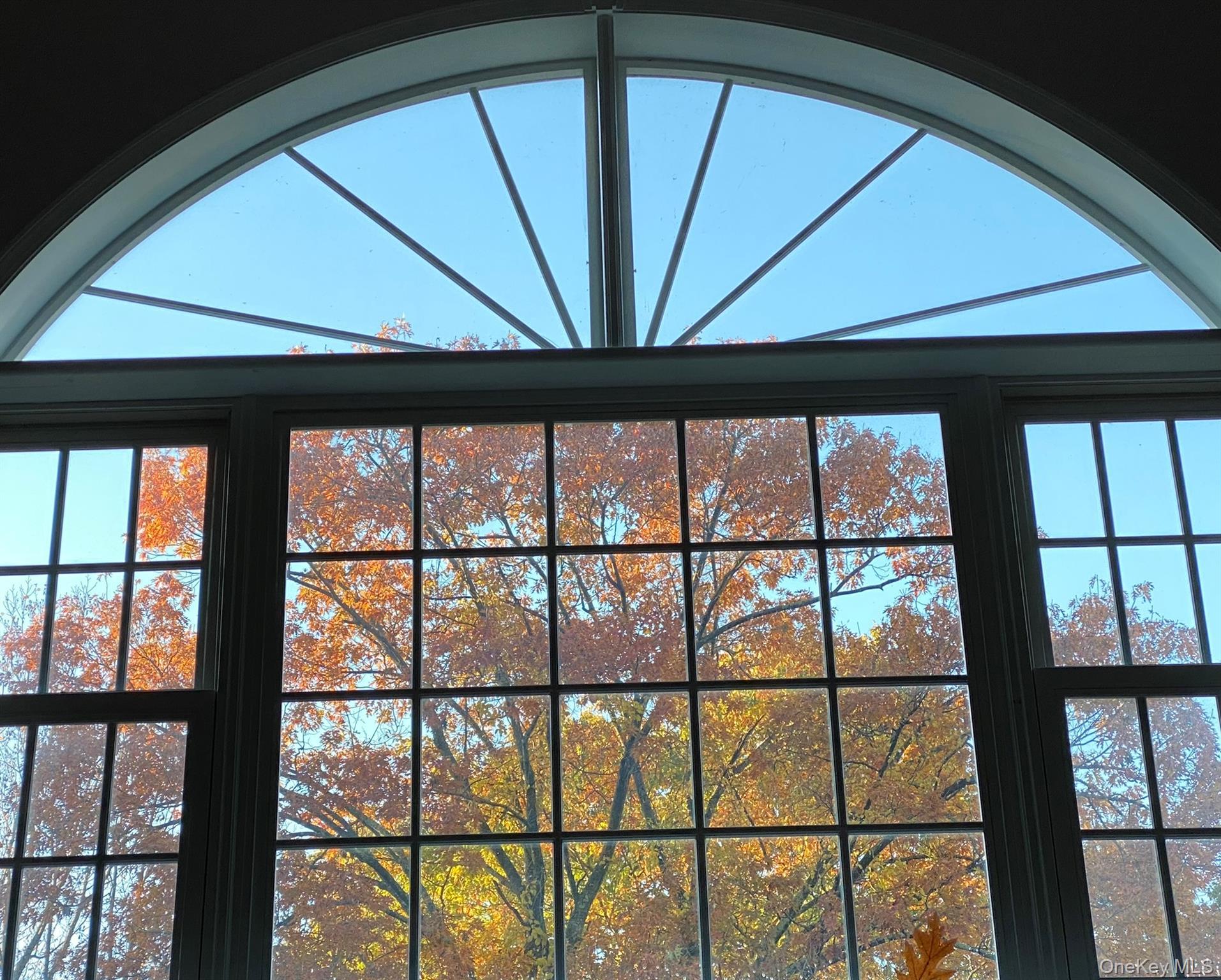 Single Family Orchard Hill Westchester County, NY 10536, MLS-901927-22