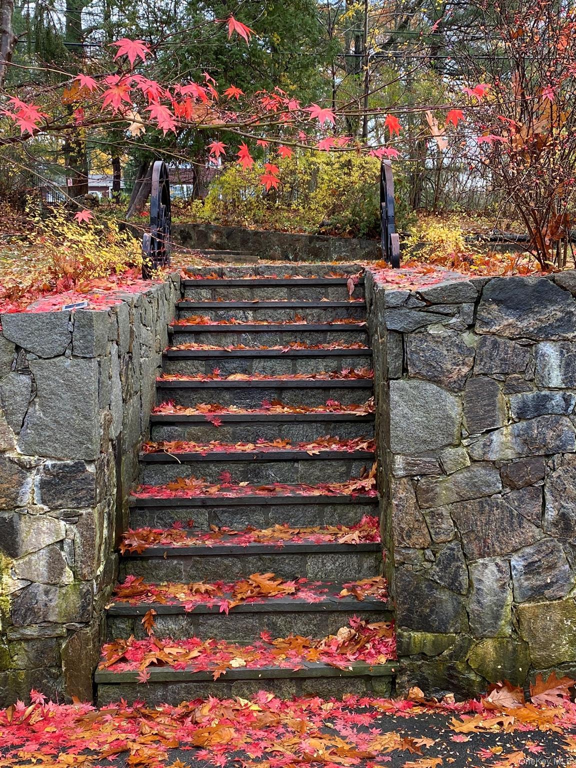 Single Family Orchard Hill Westchester County, NY 10536, MLS-901927-23