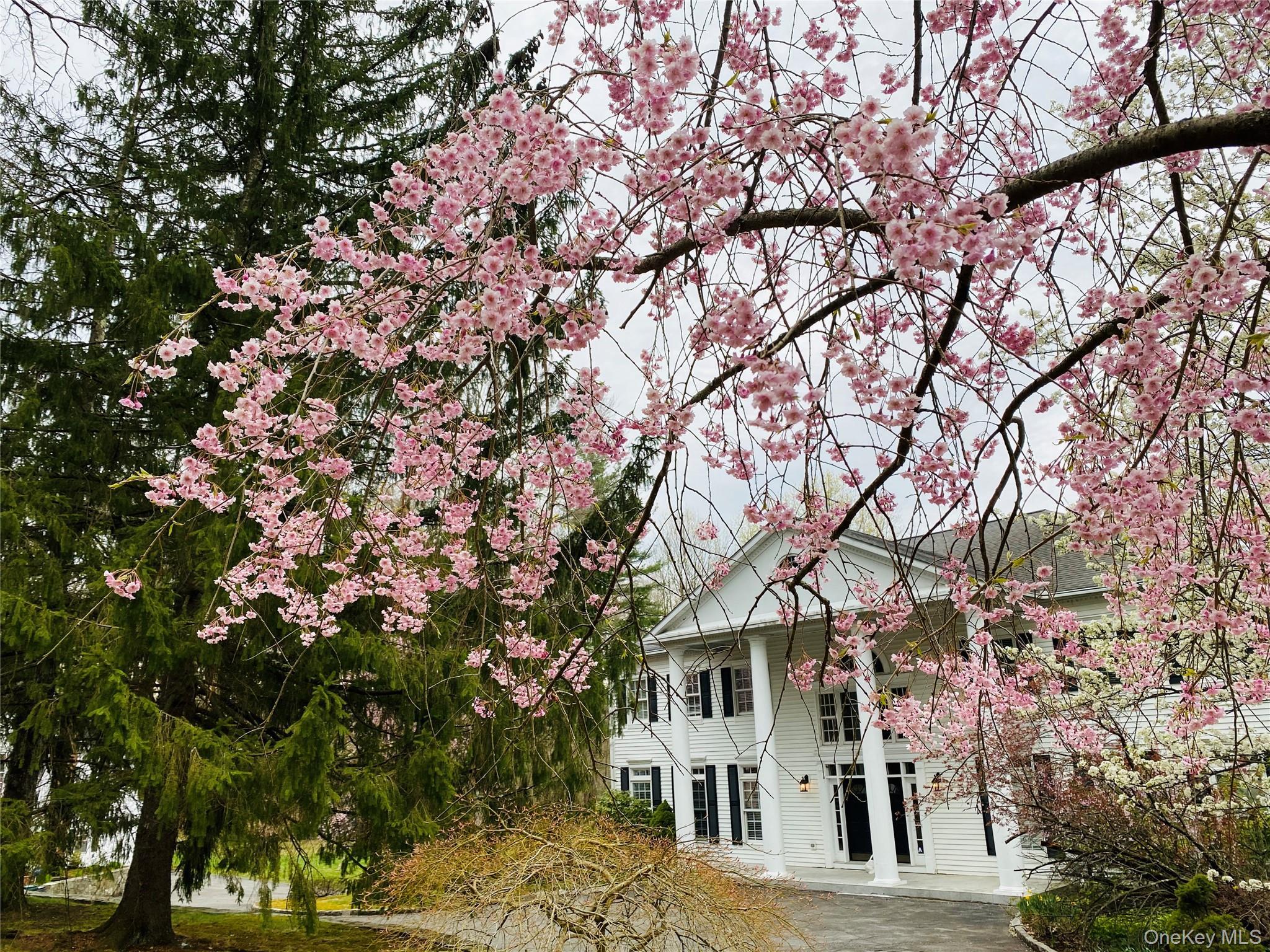 Single Family Orchard Hill Westchester County, NY 10536, MLS-901927-24