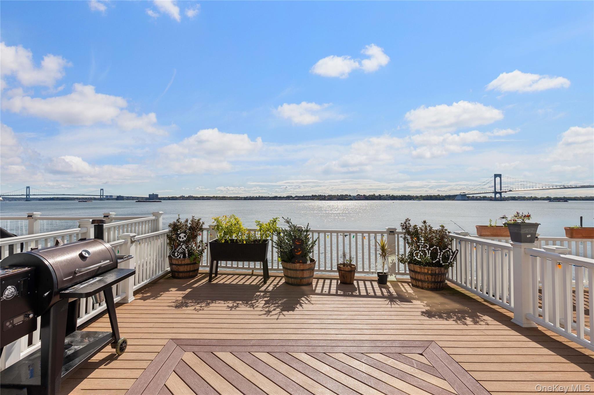 Condo Marisa  Bronx, NY 10465, MLS-901982-22