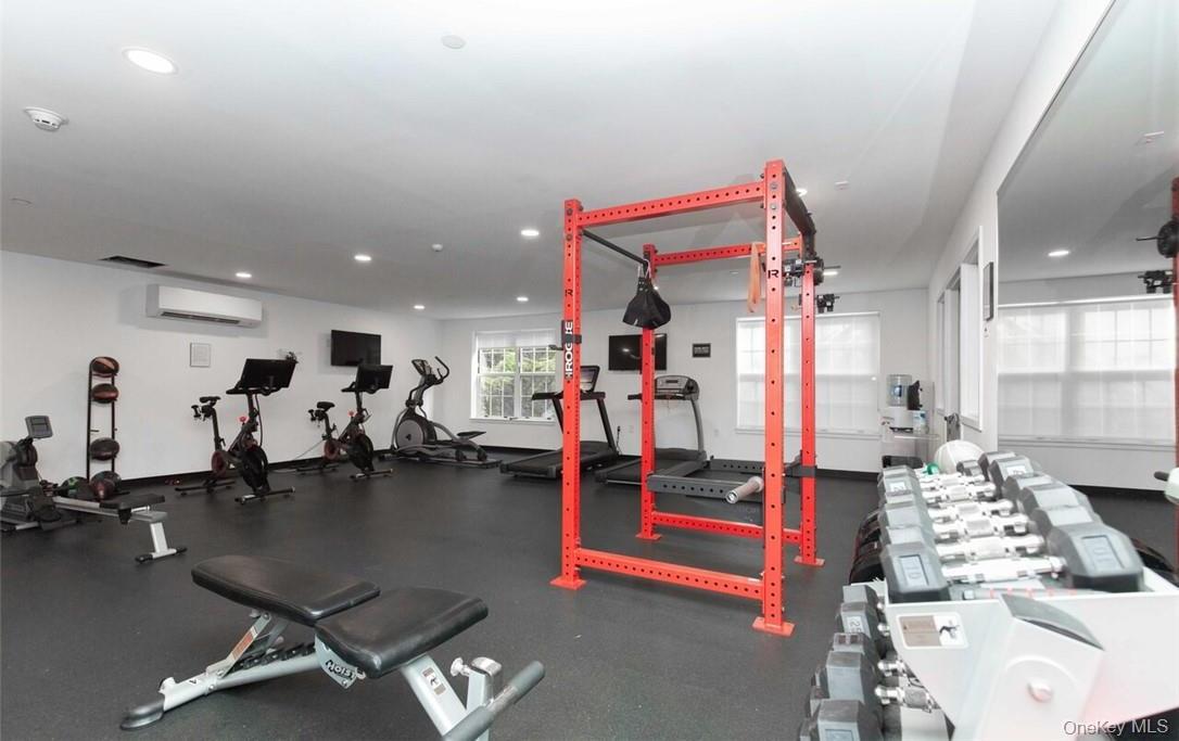 Condo Byron  Westchester County, NY 10538, MLS-902029-12