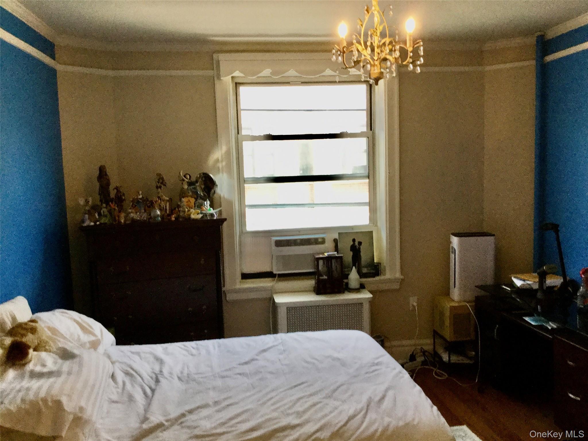 Coop 82  Queens, NY 11372, MLS-902049-4