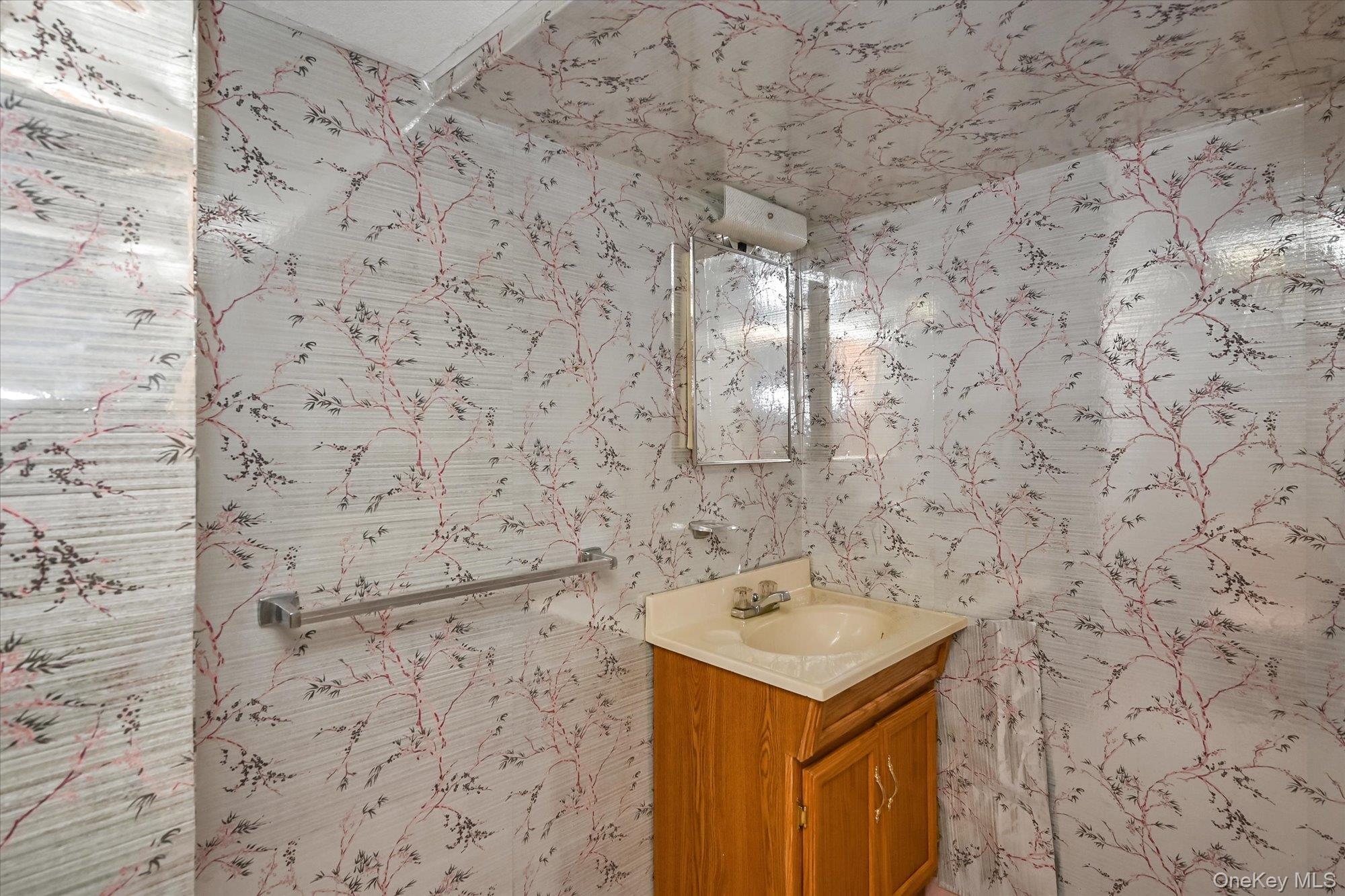 Single Family 253rd  Queens, NY 11362, MLS-902051-18