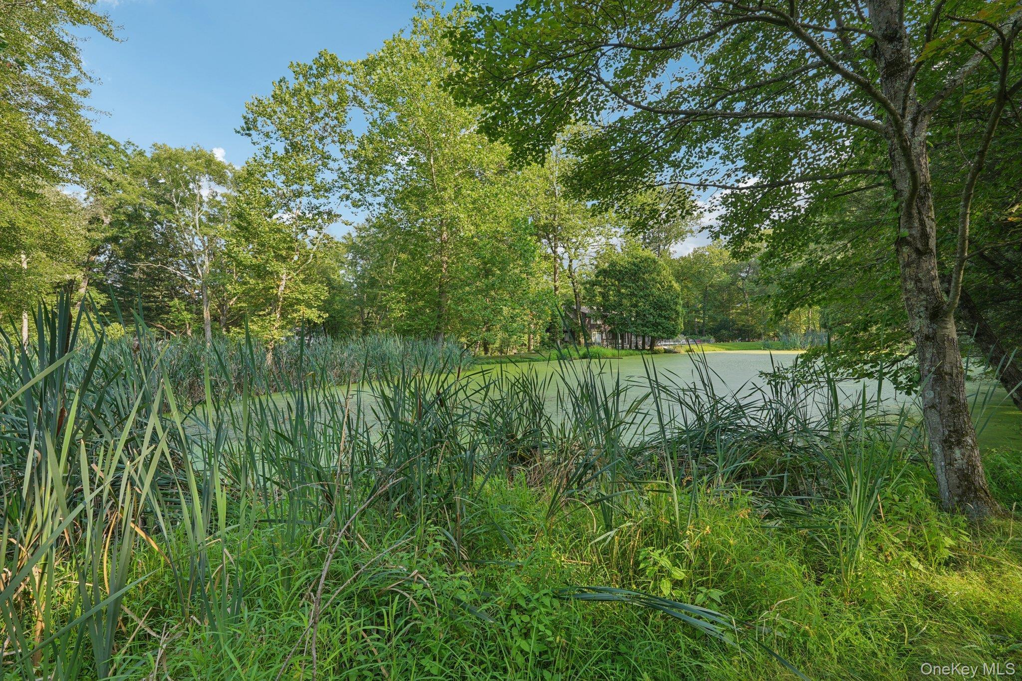 Single Family Old Phillips Hill Rockland County, NY 10956, MLS-902170-38