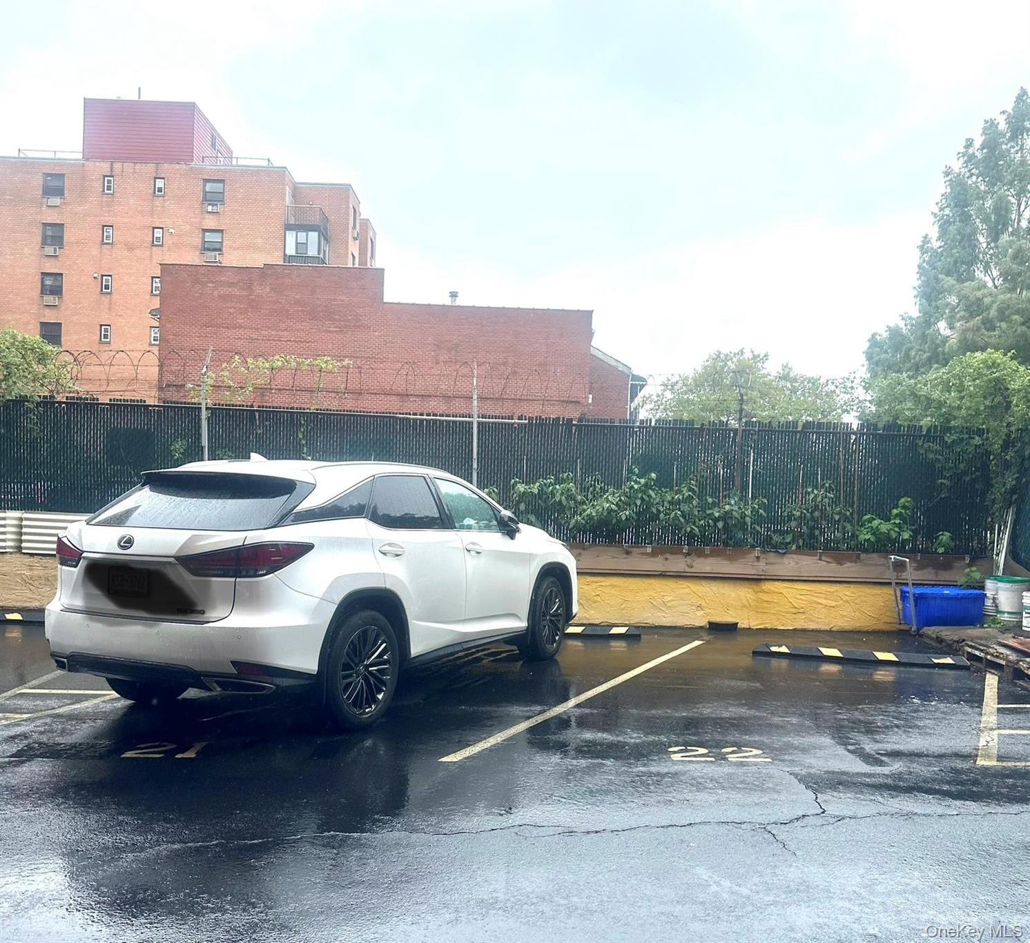 Condo 147th  Queens, NY 11357, MLS-902177-2