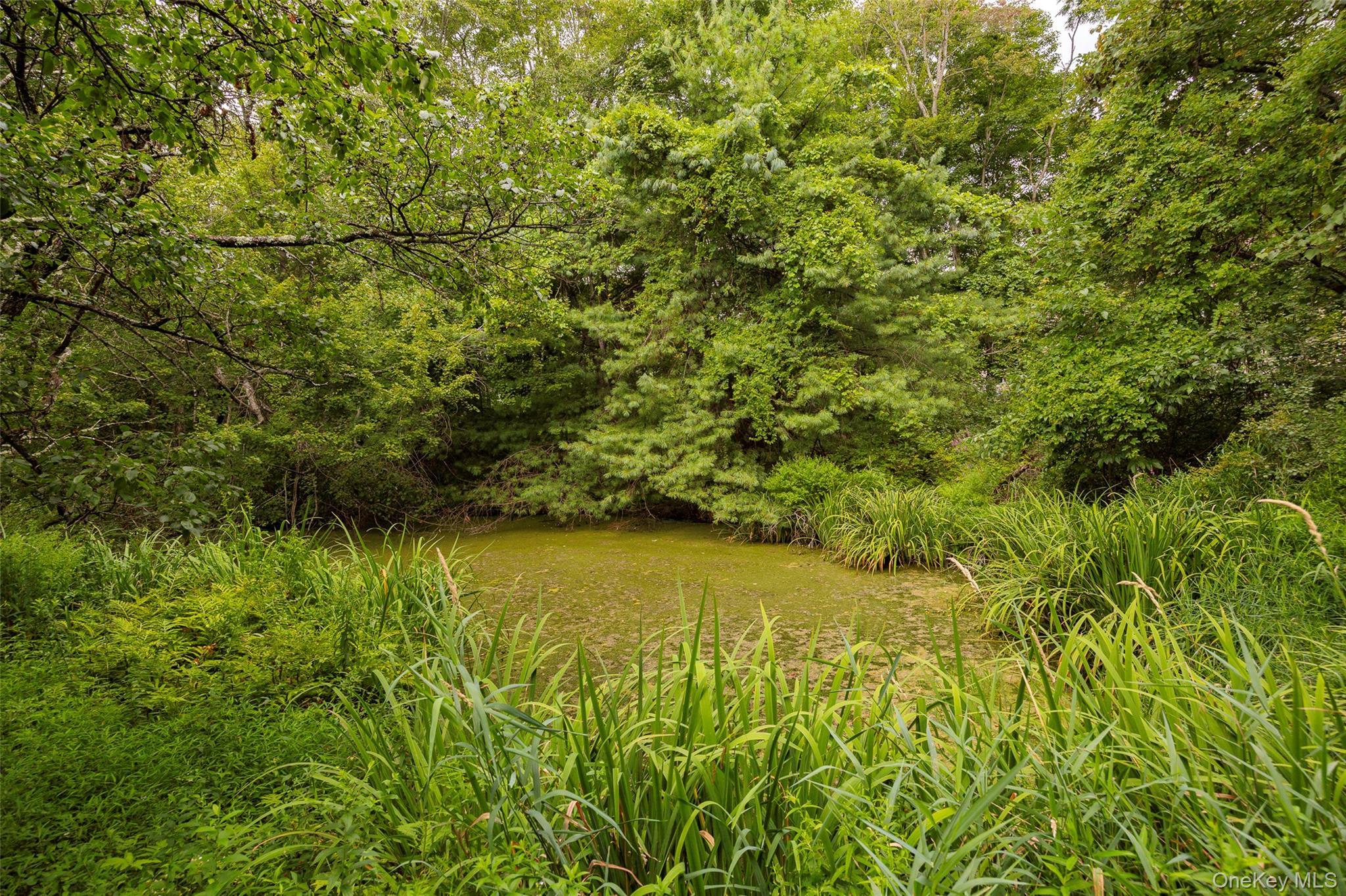 Single Family Freedom  Dutchess County, NY 12569, MLS-902533-38