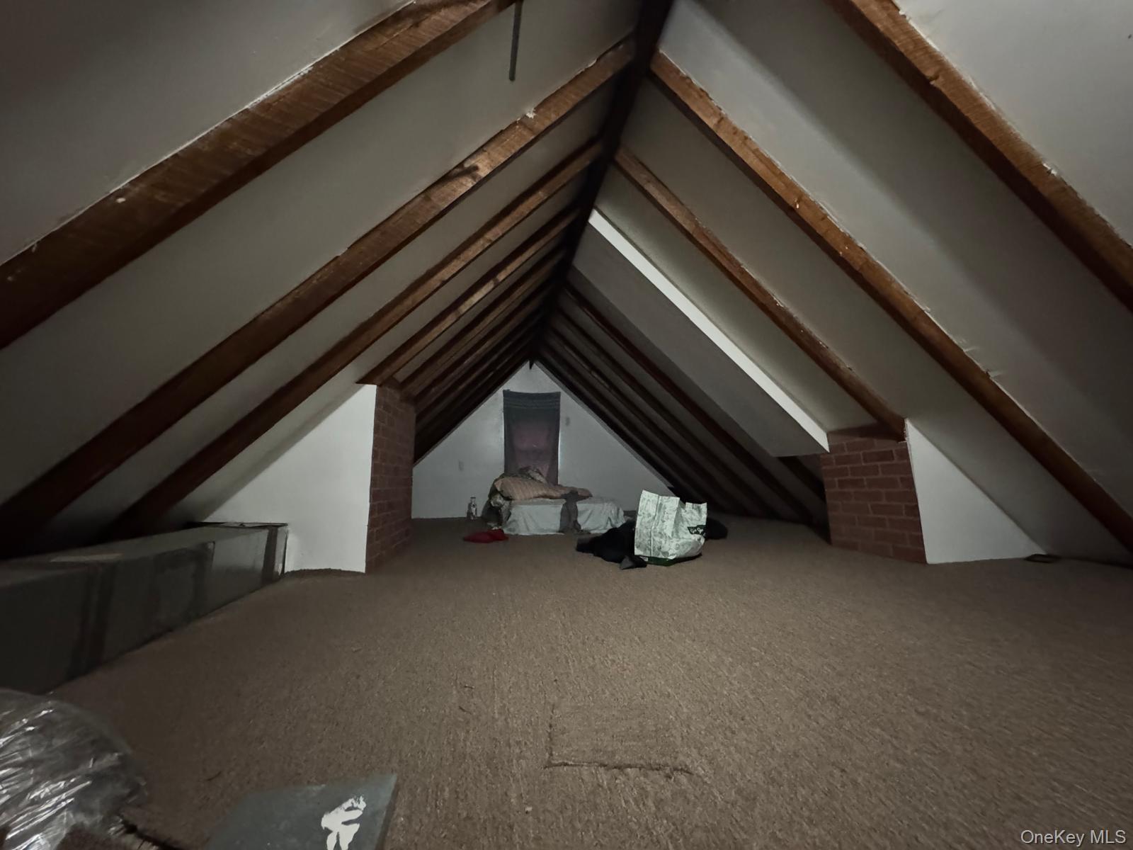 Single Family 116th Queens, NY 11419, MLS-902865-9