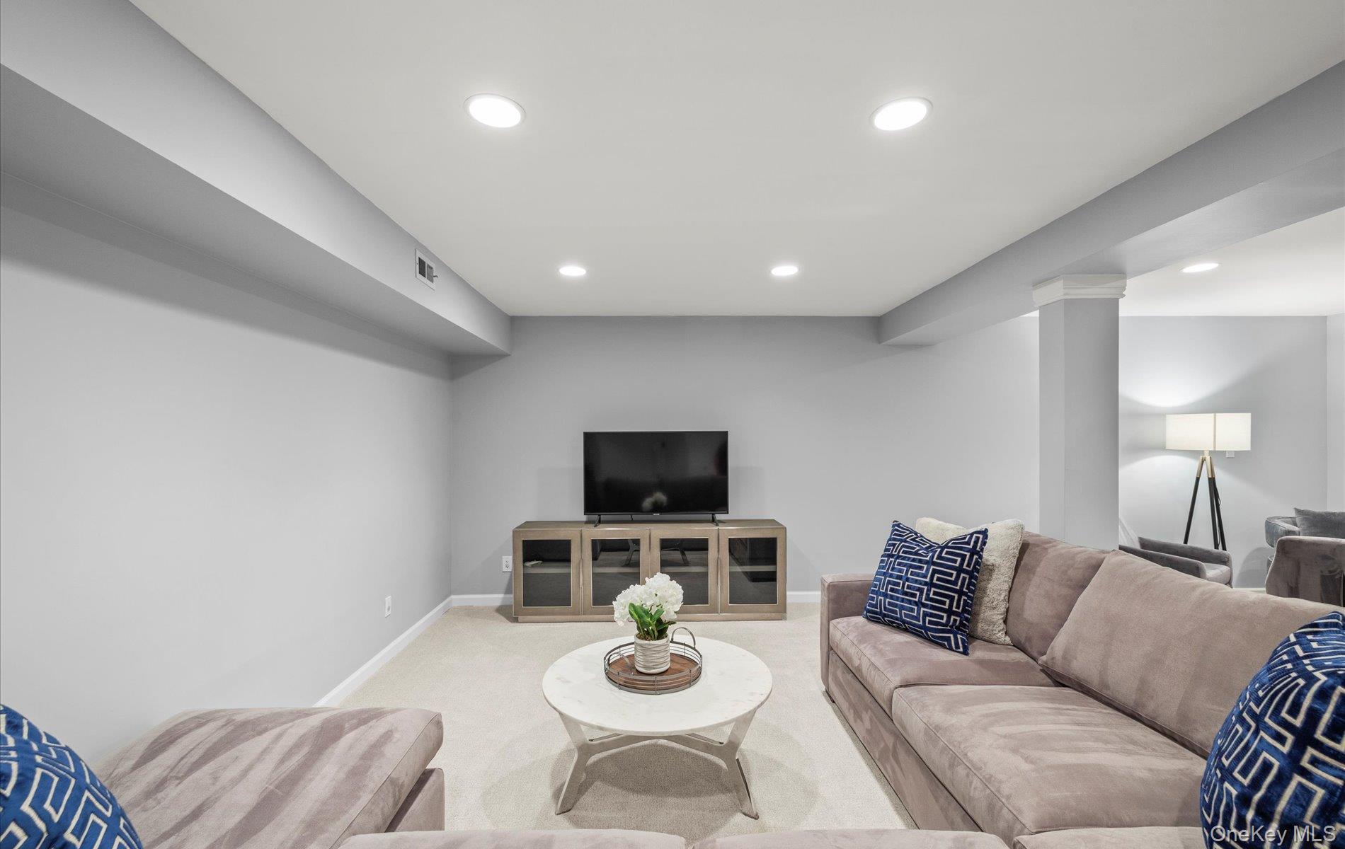 Condo Carriage House  Nassau County, NY 11753, MLS-903016-34