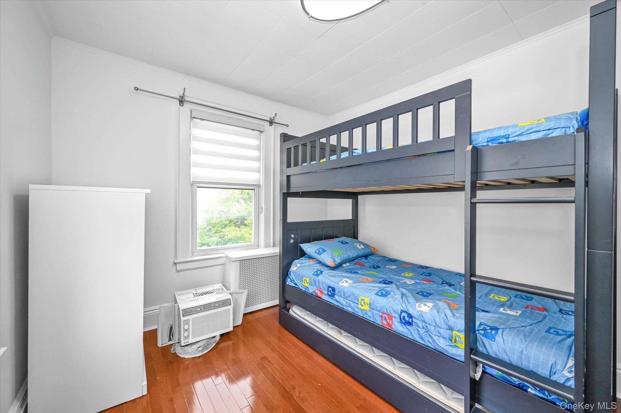 Single Family Edmore Queens, NY 11428, MLS-903055-10