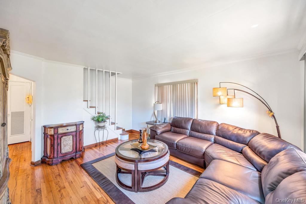 Single Family Terrace  Nassau County, NY 11801, MLS-903317-9