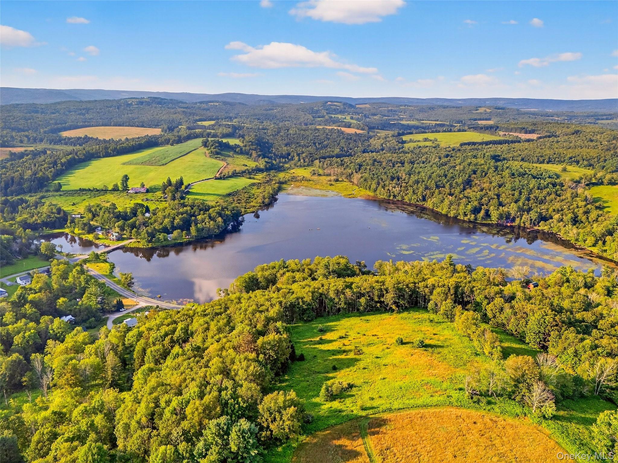 Single Family Hurd  Sullivan County, NY 12783, MLS-903388-5