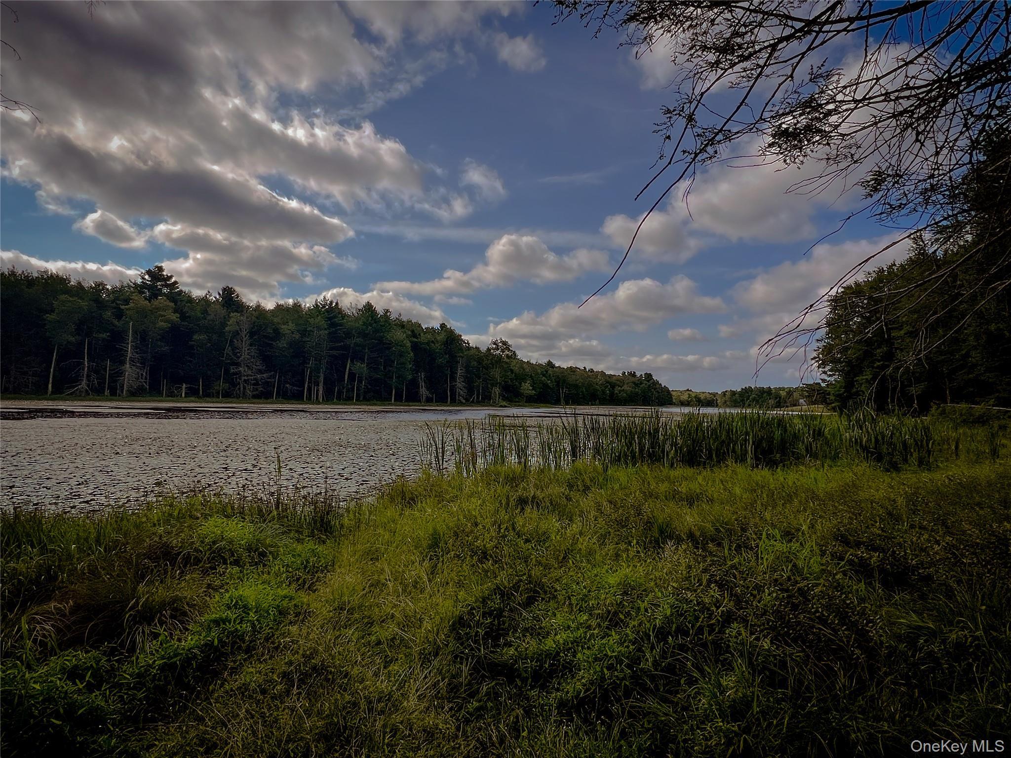 Single Family Black Lake Sullivan County, NY 12786, MLS-903403-10