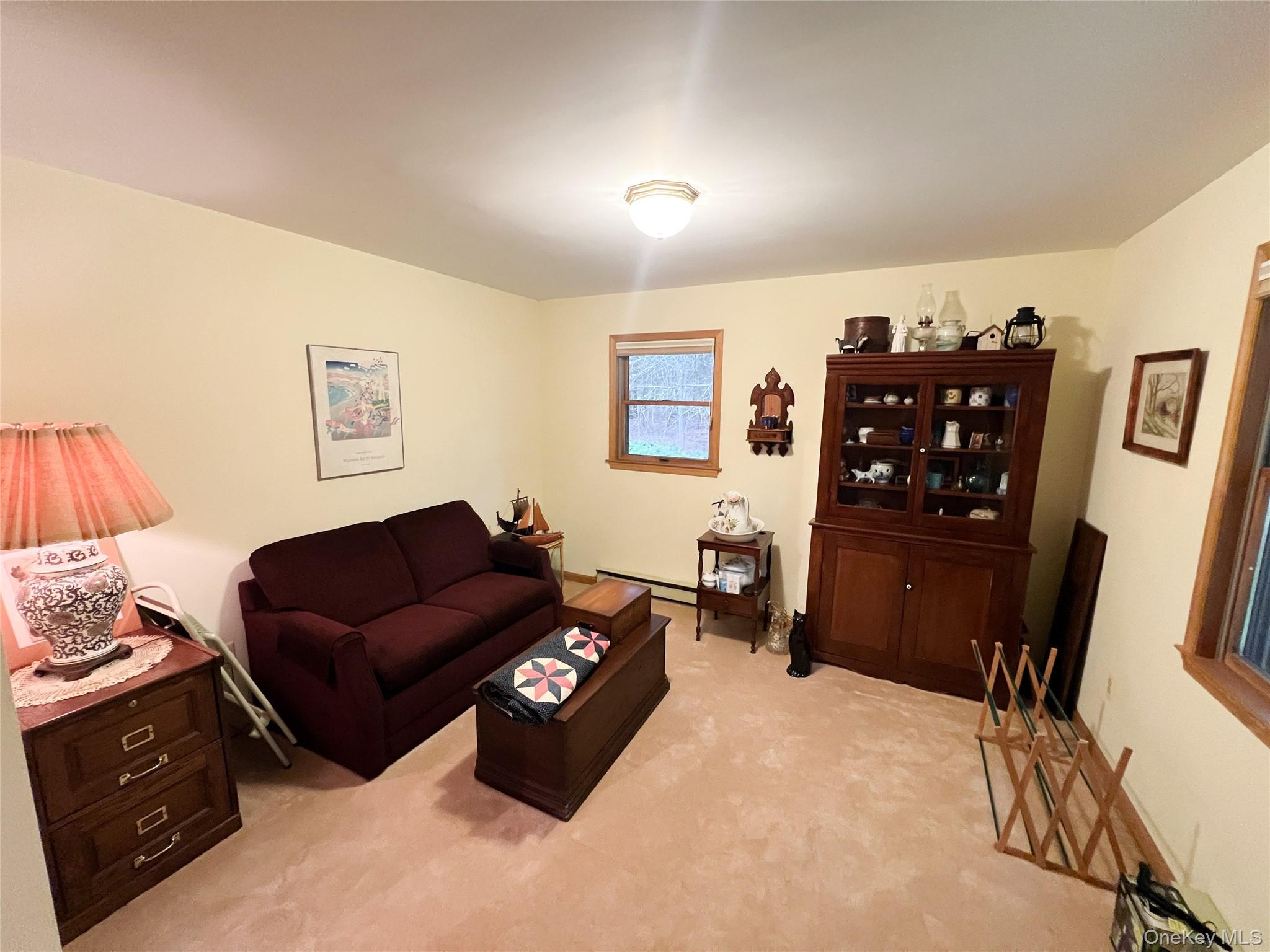 Single Family Black Lake Sullivan County, NY 12786, MLS-903403-16