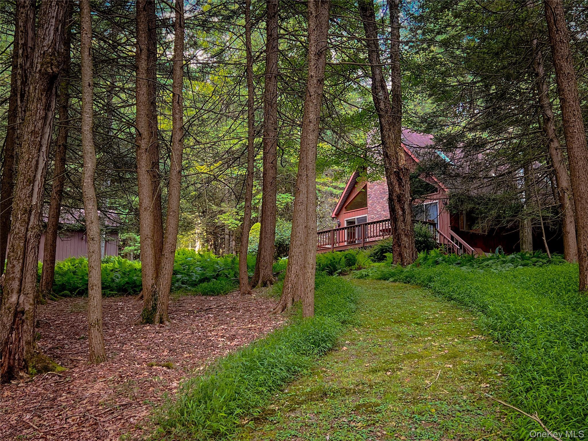 Single Family Black Lake Sullivan County, NY 12786, MLS-903403-7