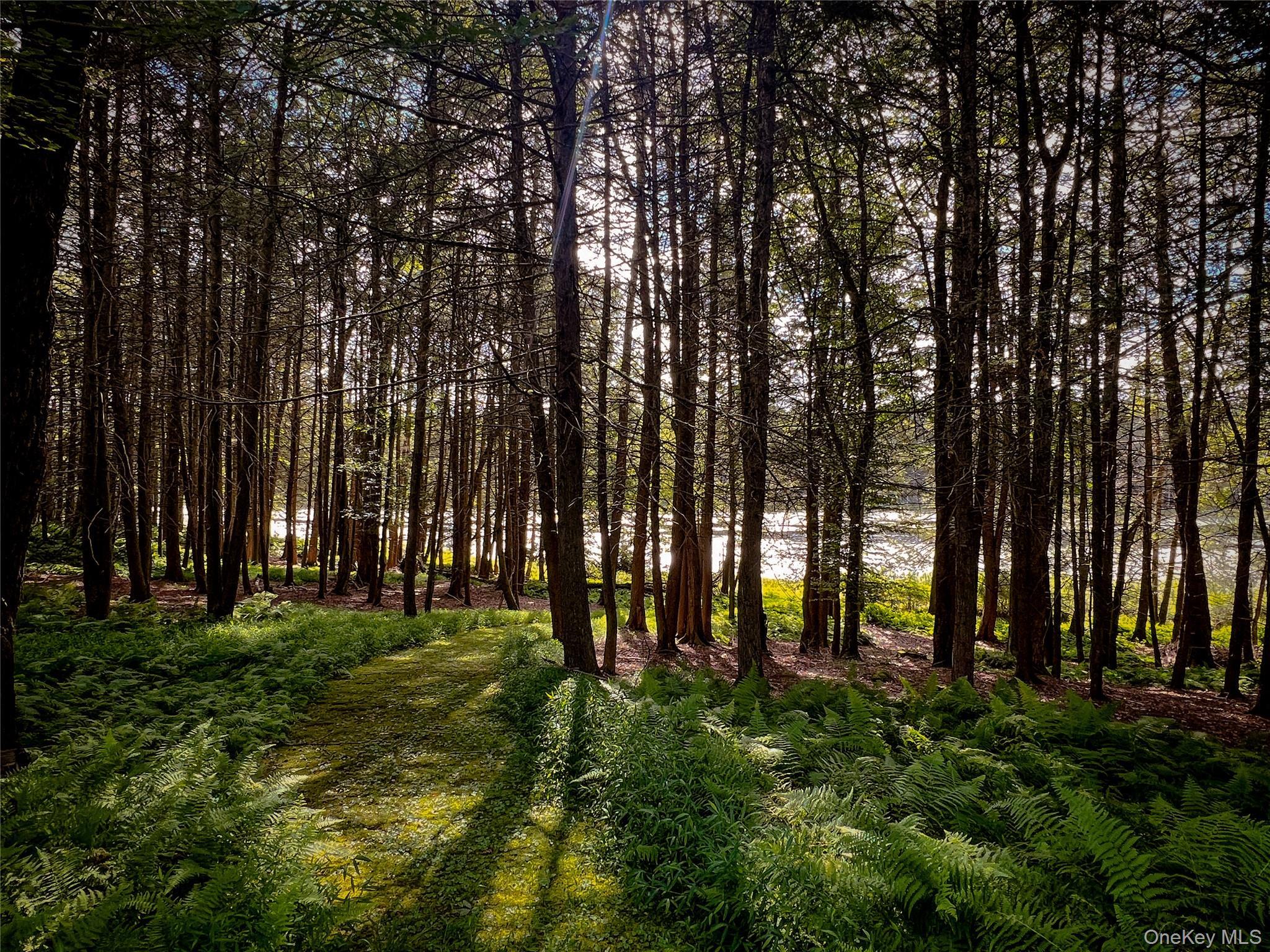 Single Family Black Lake Sullivan County, NY 12786, MLS-903403-9