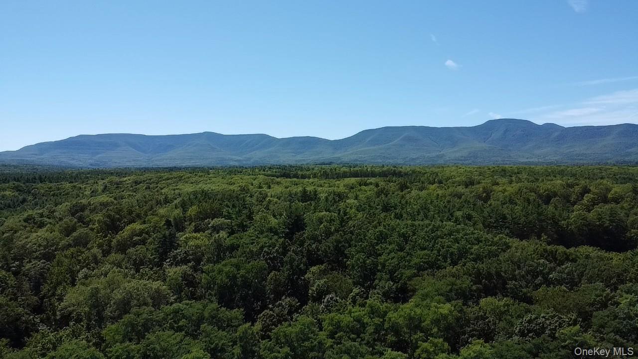 Single Family Jones Greene County, NY 12413, MLS-903410-28