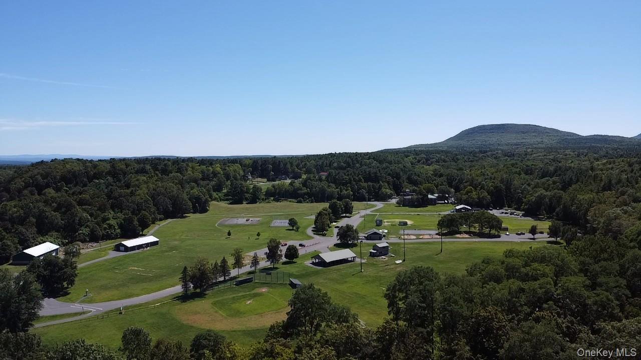 Single Family Jones Greene County, NY 12413, MLS-903410-30