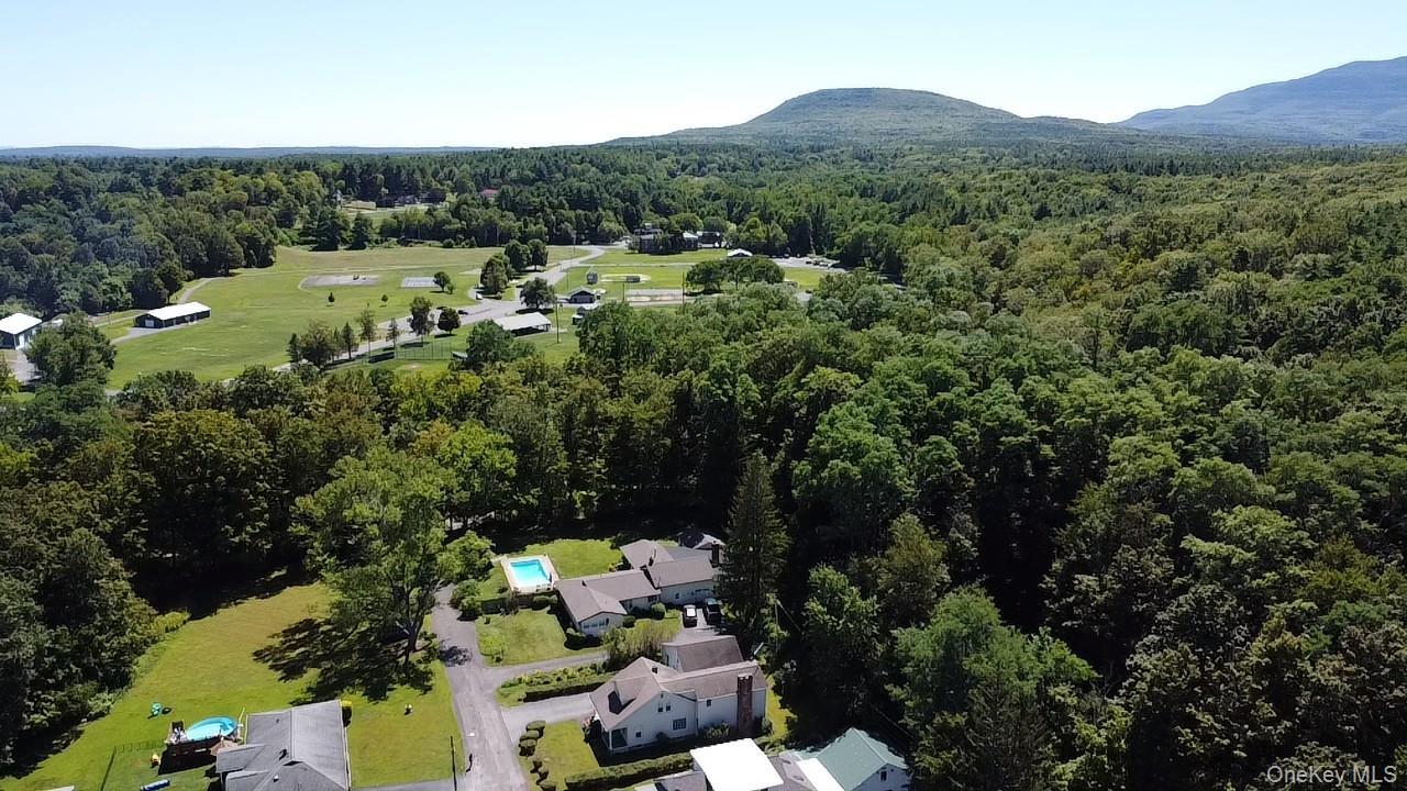 Single Family Jones  Greene County, NY 12413, MLS-903410-32