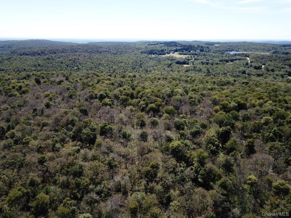 Single Family Schleiremacher Sullivan County, NY 12758, MLS-903422-33