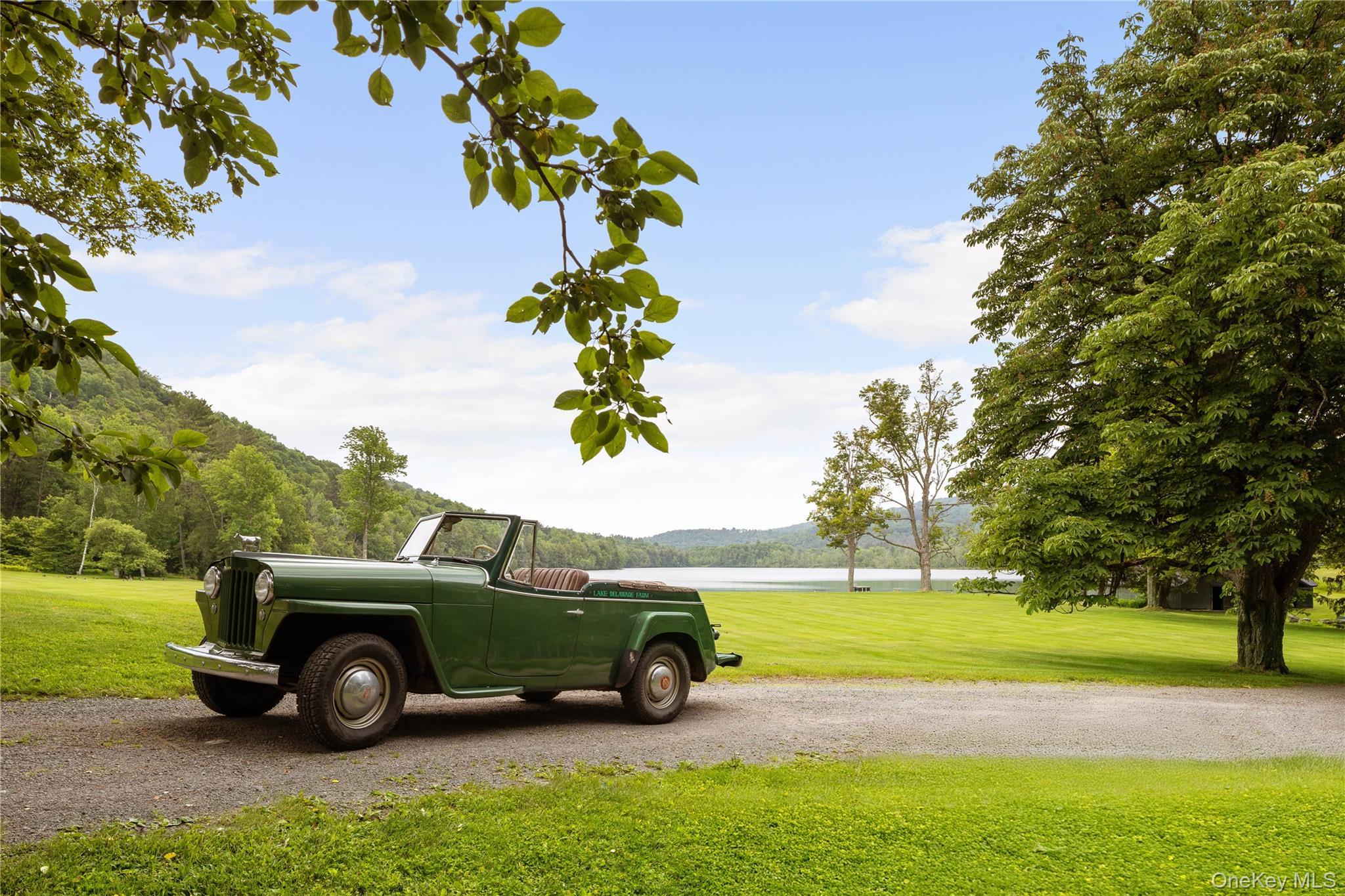 Single Family Lake Delaware Delaware County, NY 13740, MLS-903430-11