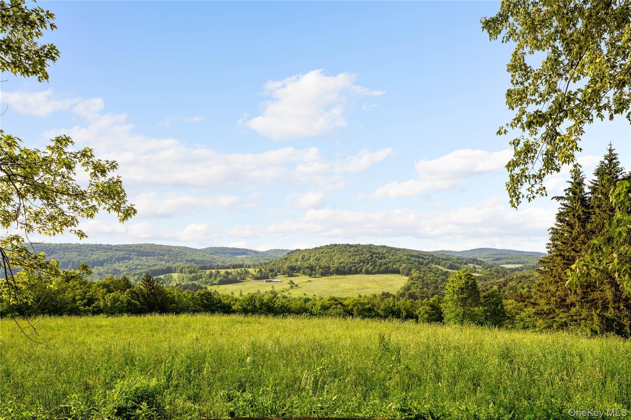 Single Family Lake Delaware Delaware County, NY 13740, MLS-903430-30