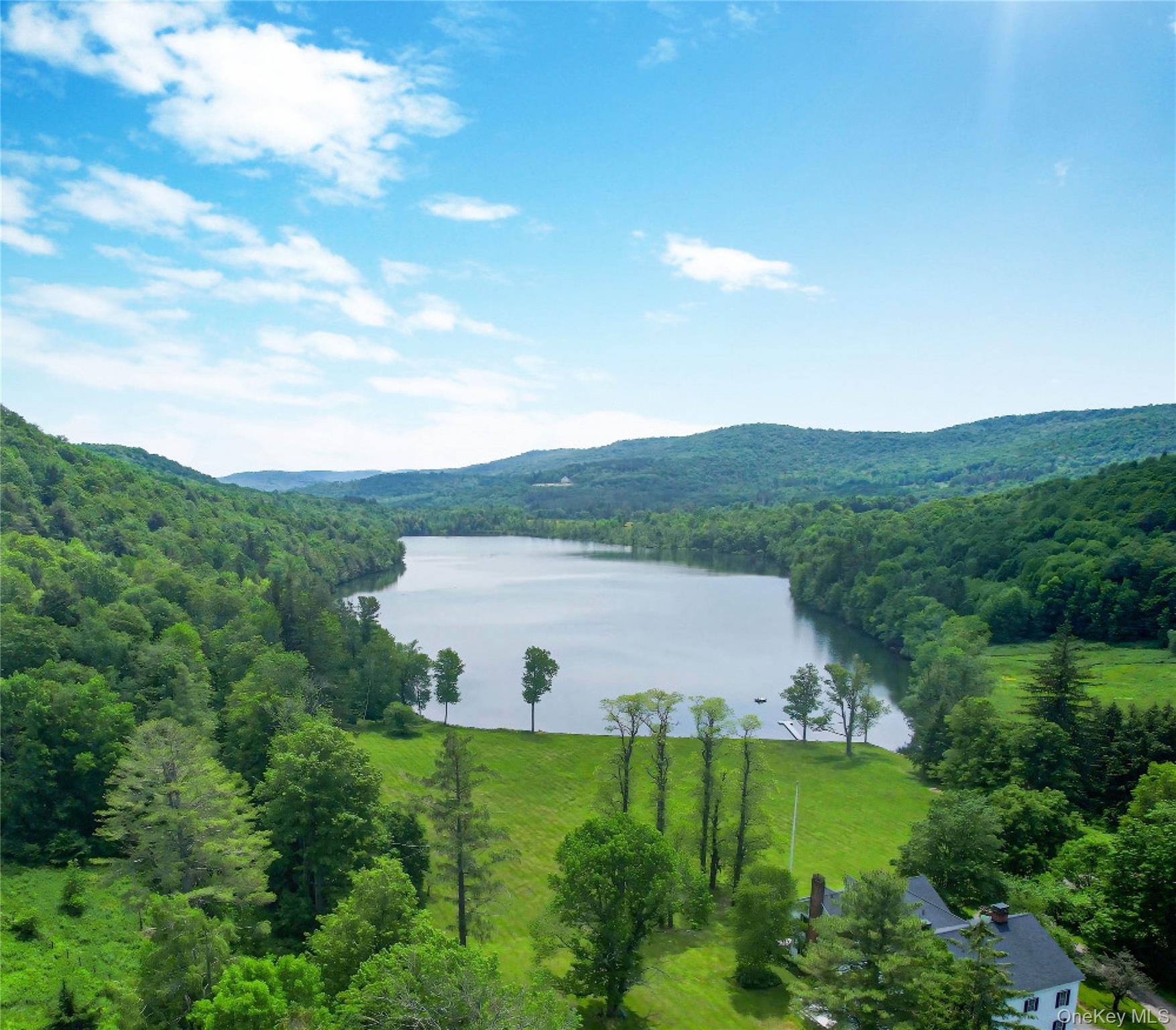 Single Family Lake Delaware  Delaware County, NY 13740, MLS-903430-39