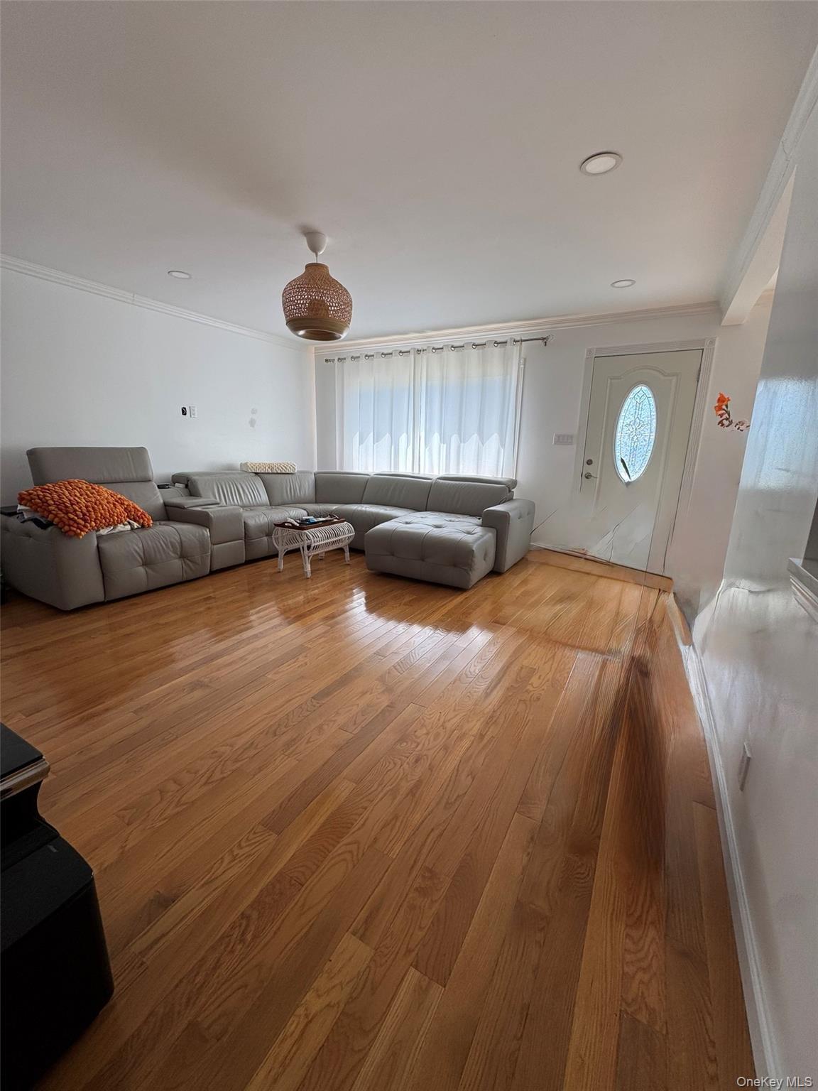 Single Family 7th  Nassau County, NY 11040, MLS-903591-2