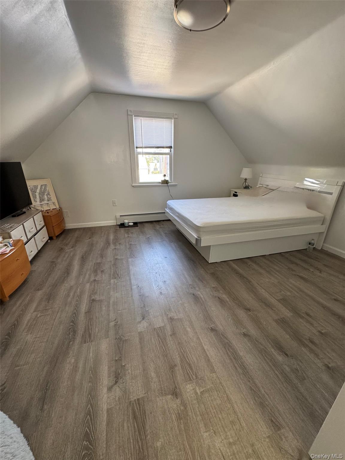 Single Family 7th  Nassau County, NY 11040, MLS-903591-8