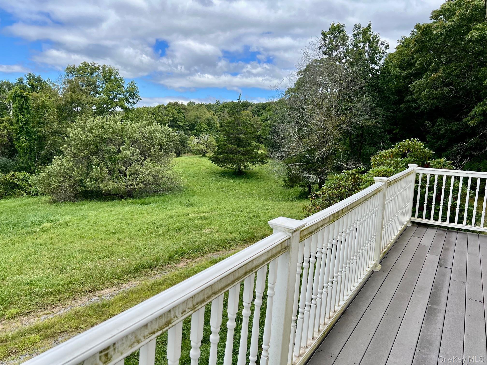 Single Family Willow Brook  Dutchess County, NY 12514, MLS-903759-5