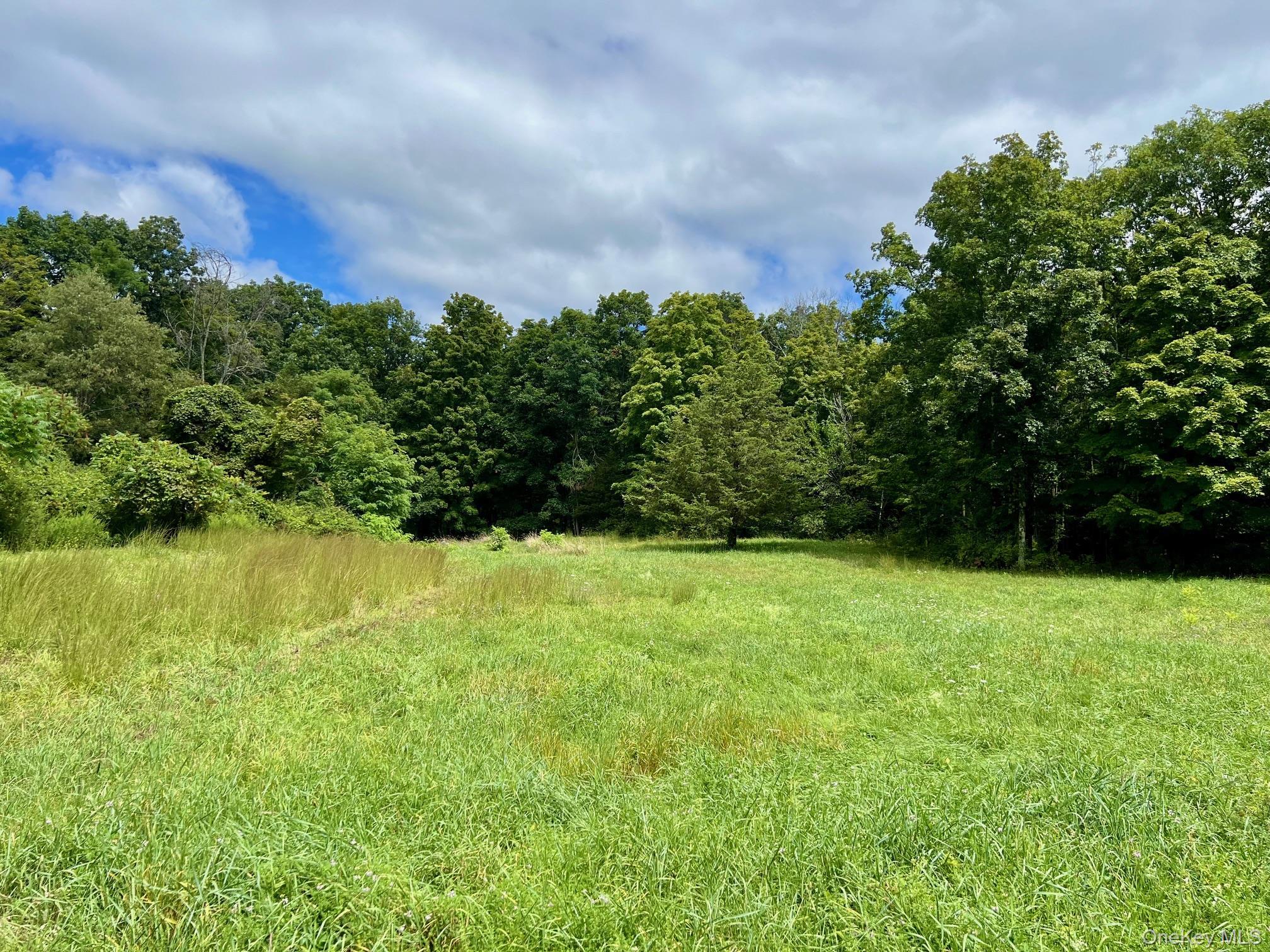 Single Family Willow Brook  Dutchess County, NY 12514, MLS-903759-6