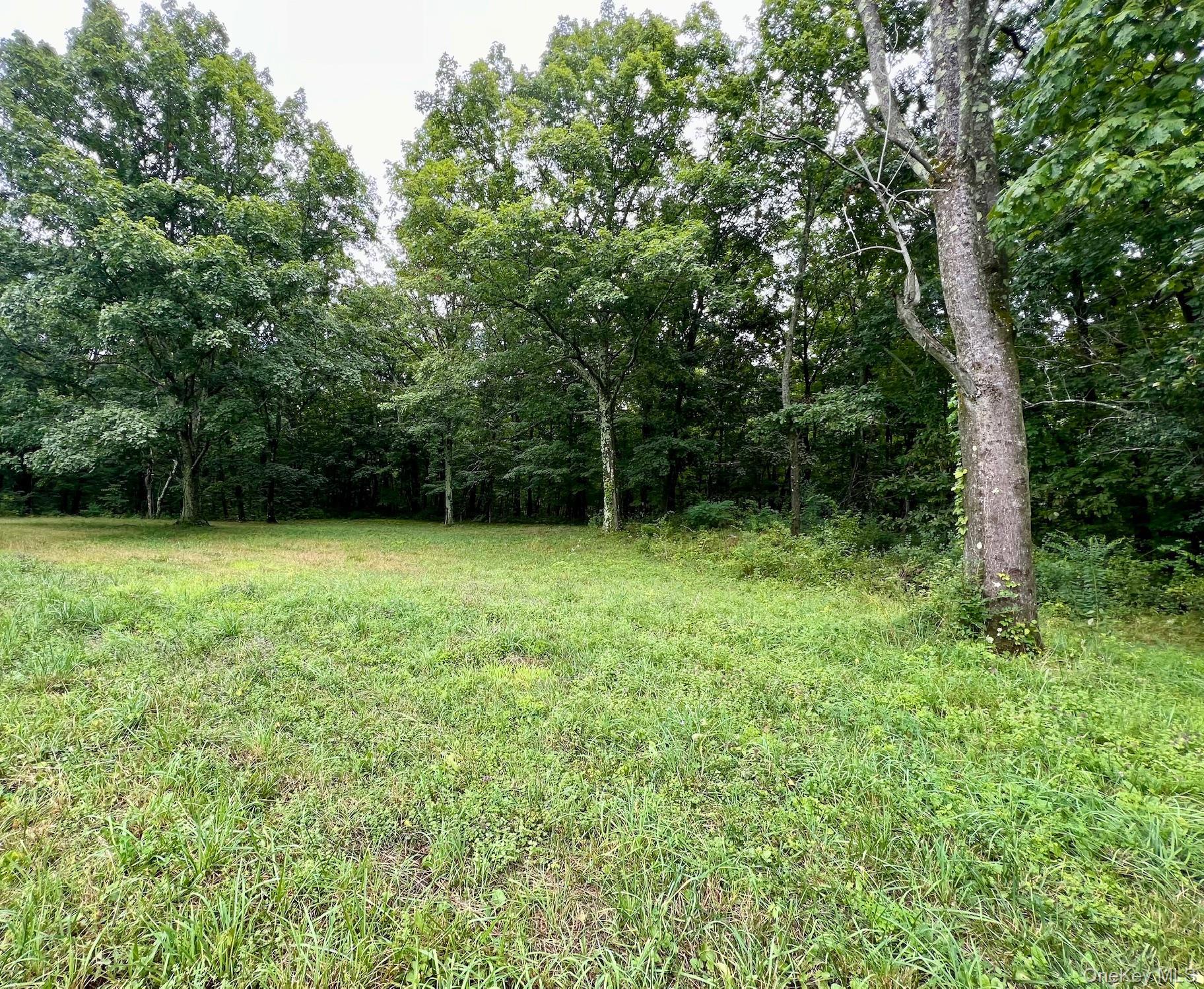 Single Family Willow Brook  Dutchess County, NY 12514, MLS-903759-8