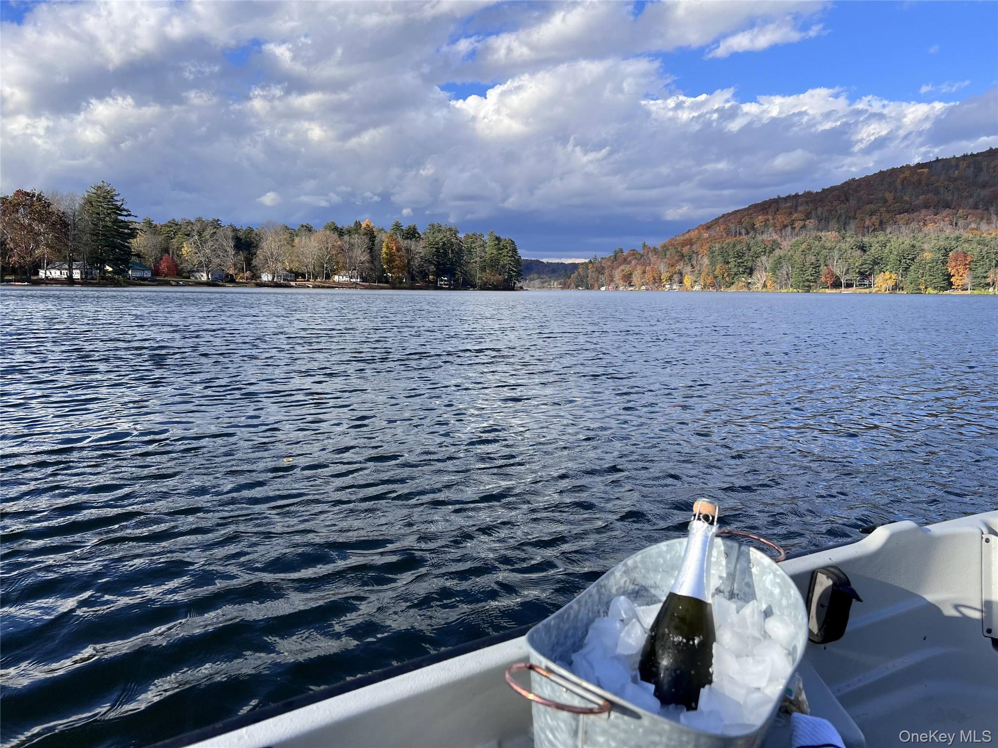 Single Family Red Cedar Dutchess County, NY 12546, MLS-903872-11