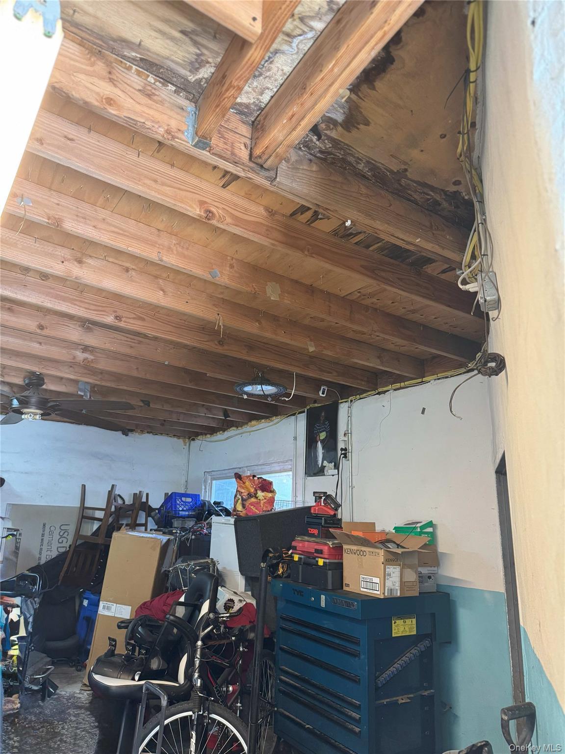 Commercial Sale Miller  Brooklyn, NY 11207, MLS-904002-3