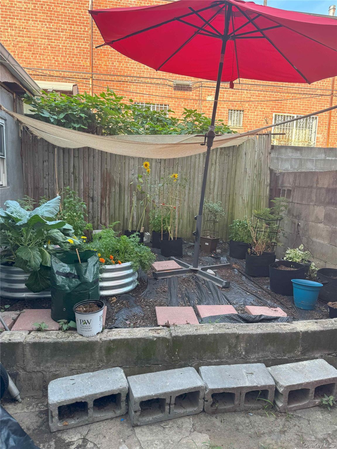 Commercial Sale Miller  Brooklyn, NY 11207, MLS-904002-4