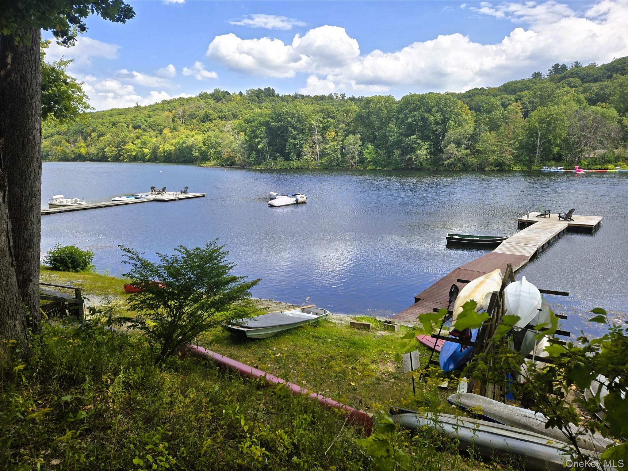 Single Family Sepasco Lake Dutchess County, NY 12572, MLS-904046-3