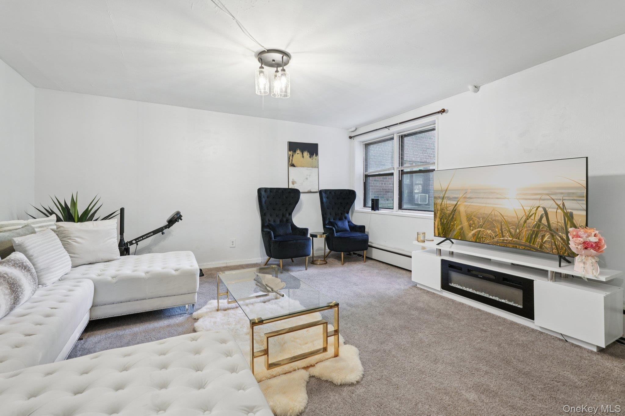 Coop Oakdale Manor  Rockland County, NY 10901, MLS-904157-12