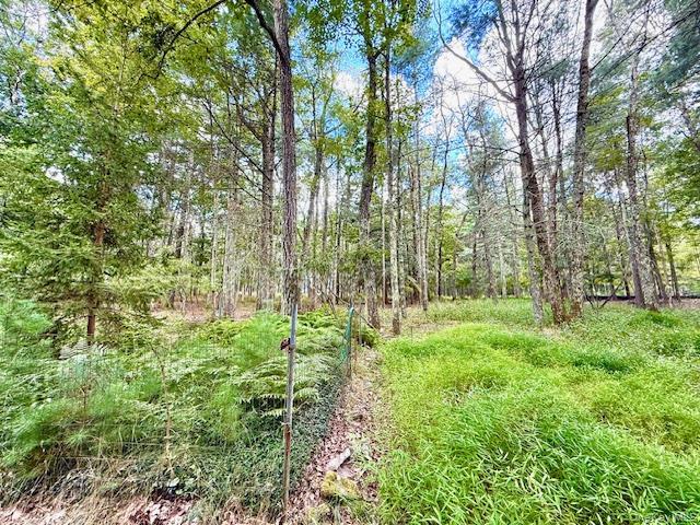 Single Family Anna  Sullivan County, NY 12737, MLS-904163-14