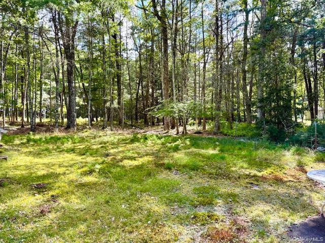 Single Family Anna  Sullivan County, NY 12737, MLS-904163-15