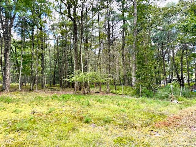 Single Family Anna  Sullivan County, NY 12737, MLS-904163-5