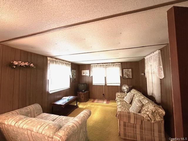 Single Family Anna  Sullivan County, NY 12737, MLS-904163-7