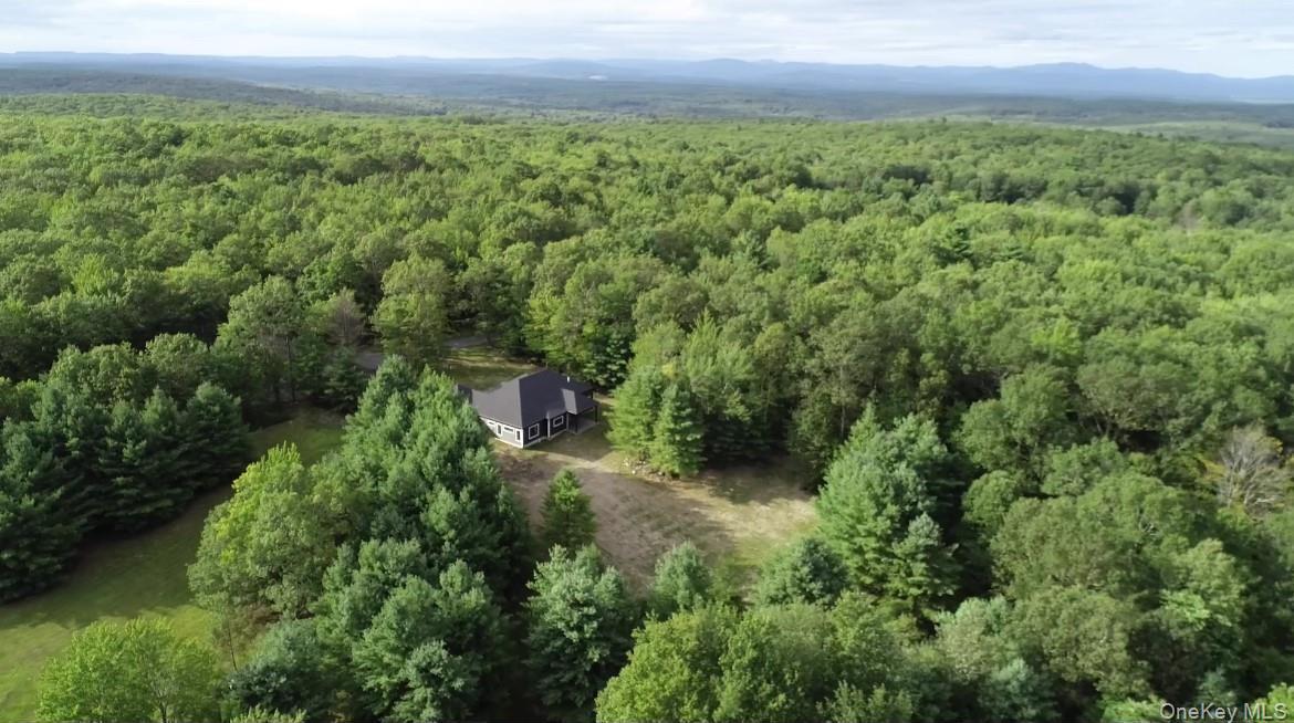 Single Family Dunn Town  Sullivan County, NY 12790, MLS-904174-5