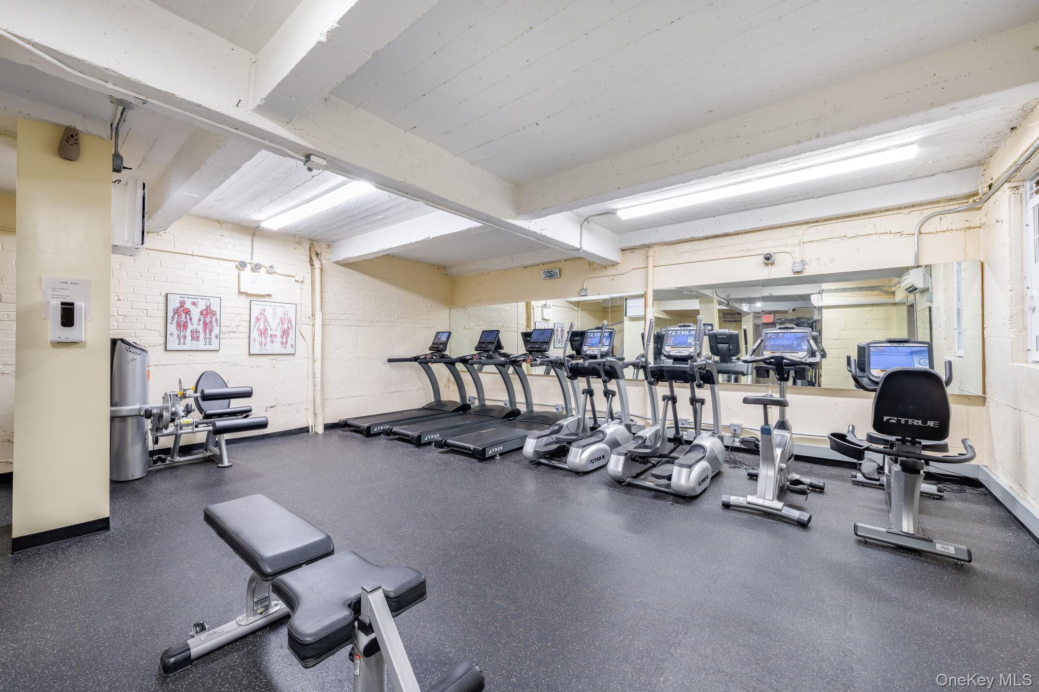 Coop Main  Queens, NY 11435, MLS-904264-8